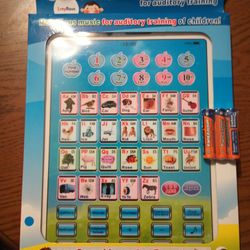 Electronic Sound Learning Board