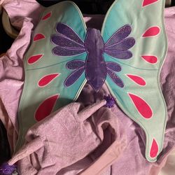 Dog Butterfly Costume