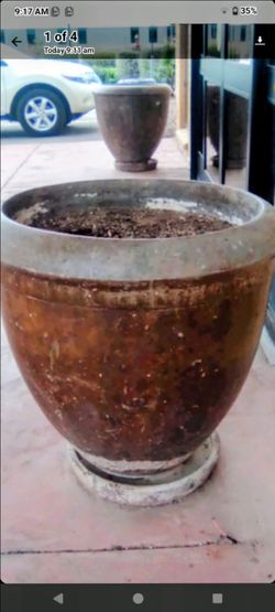 Patio and garden or Entryway Spanish palms Concrete heavy pots terracotta