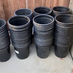 Botes De 5 Galones