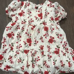 Floral Dress 12-18 Month
