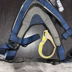 safety harness with lifeline
