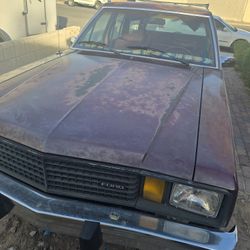 Fremont Station Wagon 1980