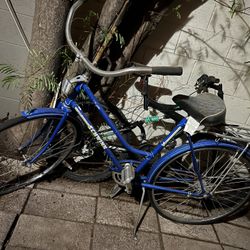 Schwinn Cruiser Bike 