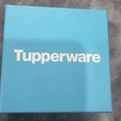 Tupperware Bracelet  and Pin