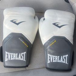 Everlast Gloves