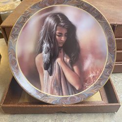 Collectable Indian Plates 