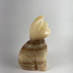 Zebra Onyx Cat Honey
