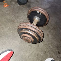 Only One. (1)     55lb Dumbell 