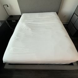 Upholstered Panel Bed Frame