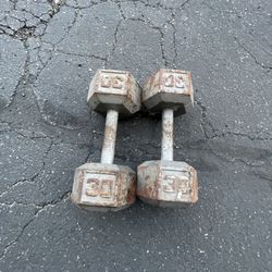  Mental Dumbbell 30lb 