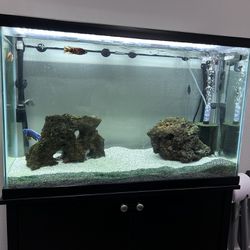 45 Gallon Fish Tank Empty