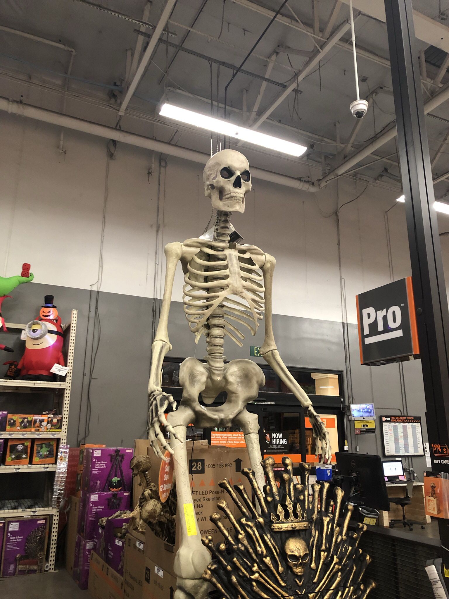 Holloween 12 Foot Tall Skeleton Brand New In Box.