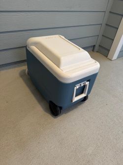Cooler / Ice Chest - Igloo 38 QT 