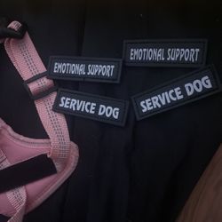 Xs Dog Harness