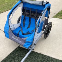 2 Child Schwinn Bike Carrier