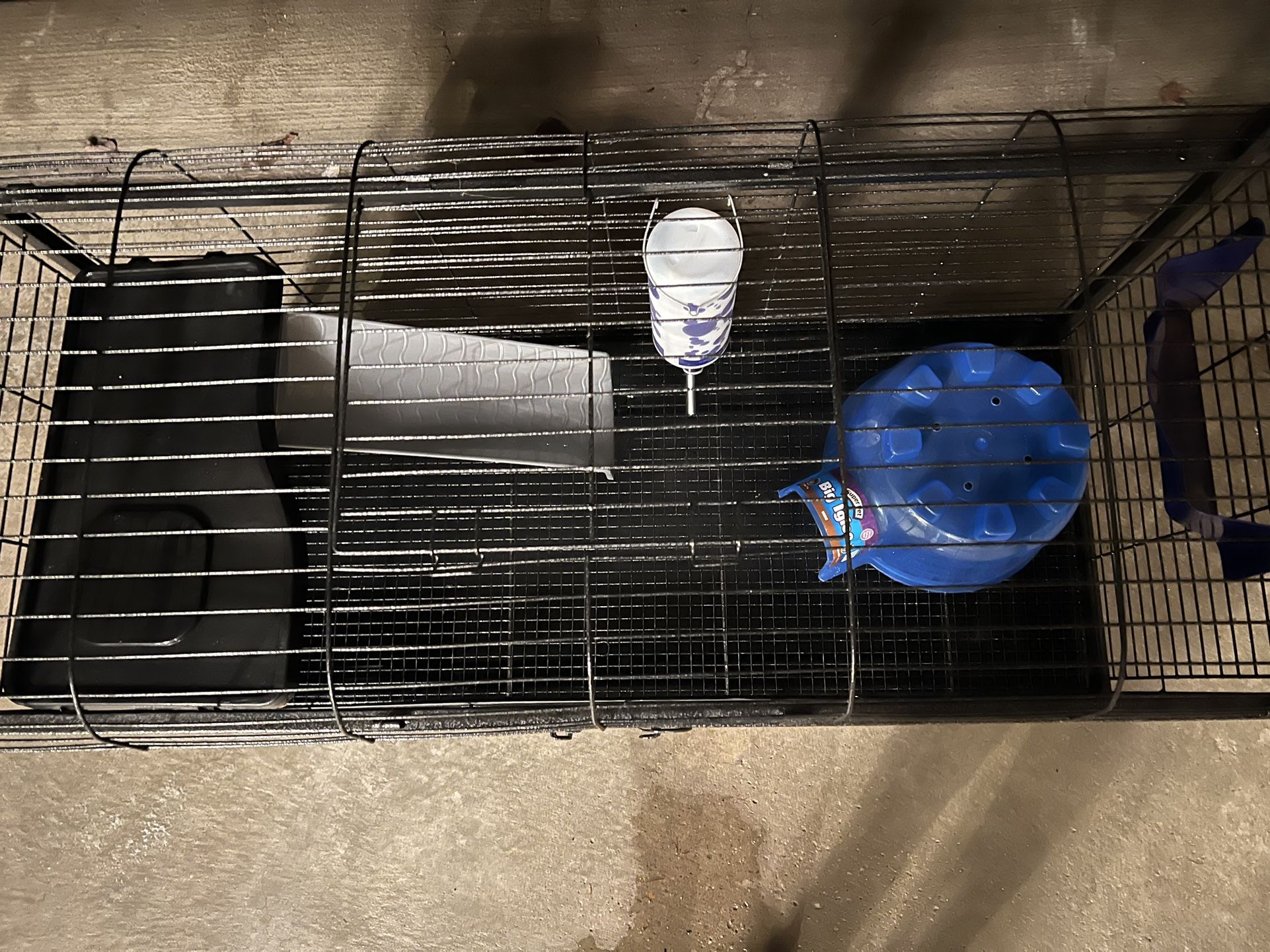 Guinea Pig Cage & Supplies