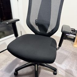 Ergonomic Office chair
