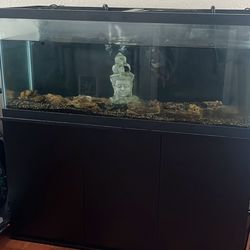 Aquarium 