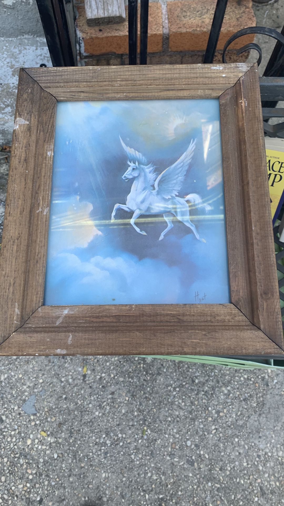 Antique Picture Of Flying Horse In The Sky  With Glass Frame. 