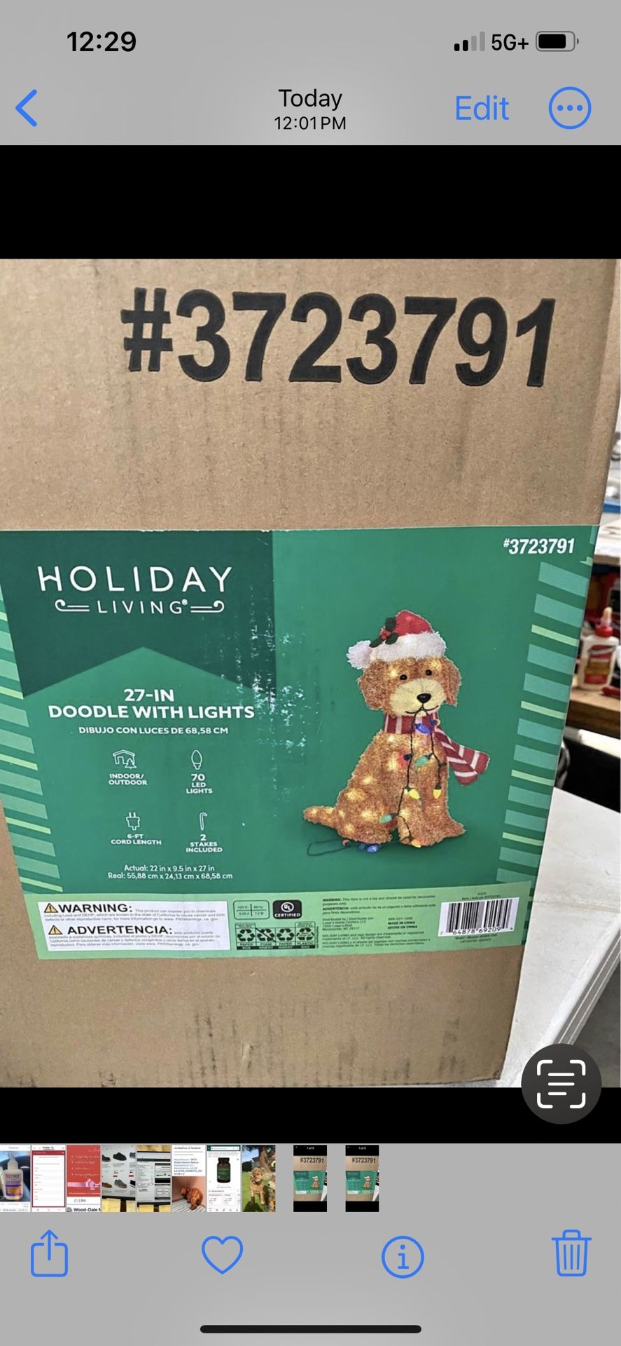Christmas Light Up Doodle Dog