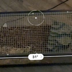 Terrarium 