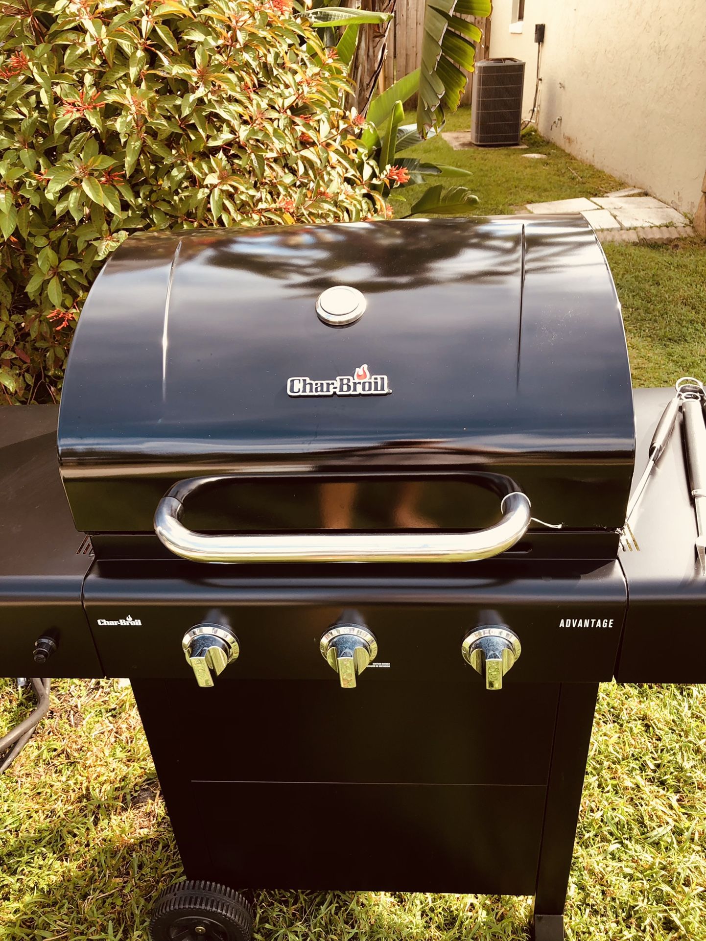 Grill