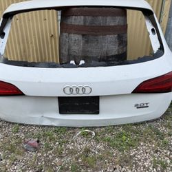 2015 Q5 Tail Lights 