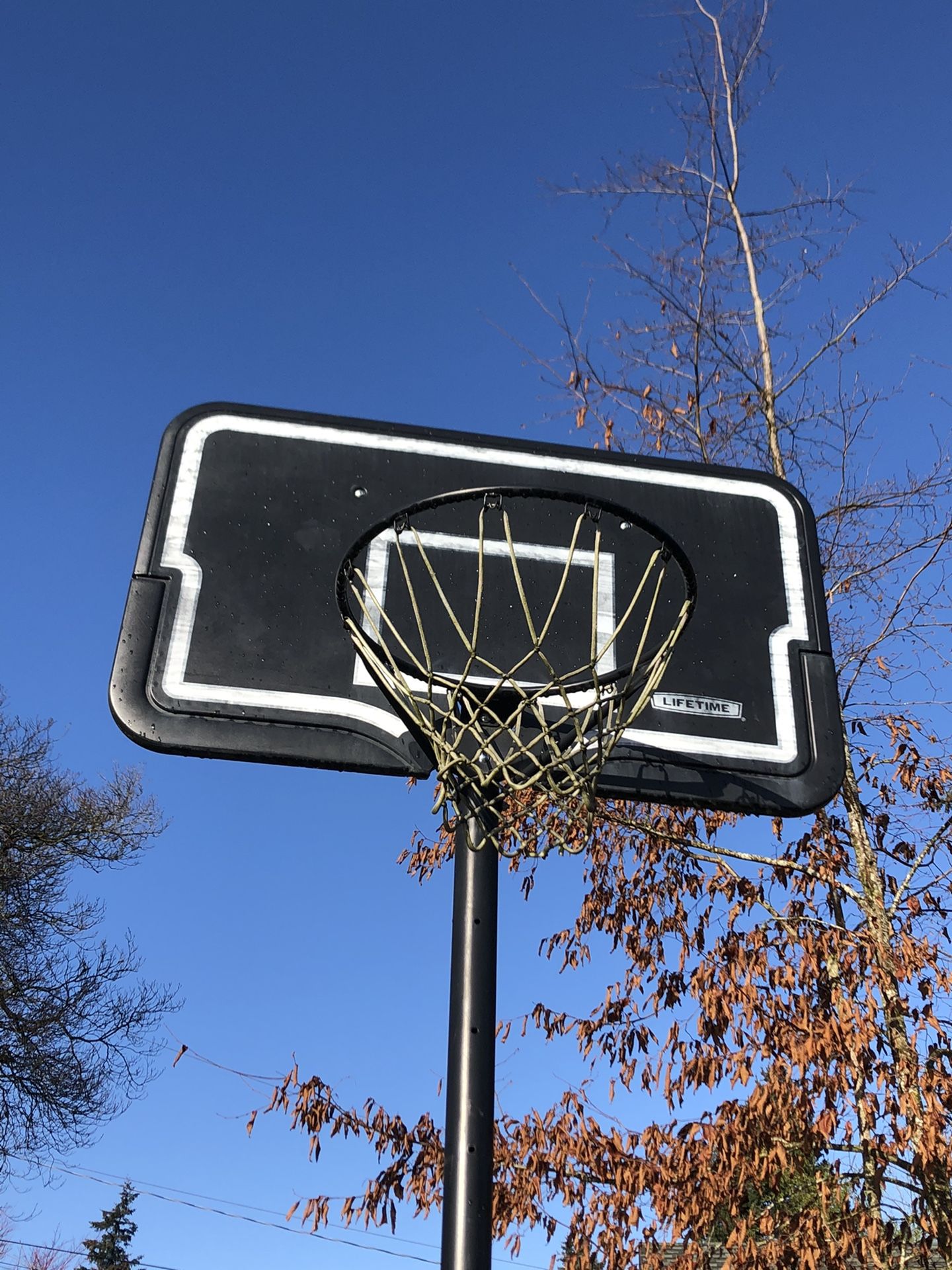 Basketball Hoop