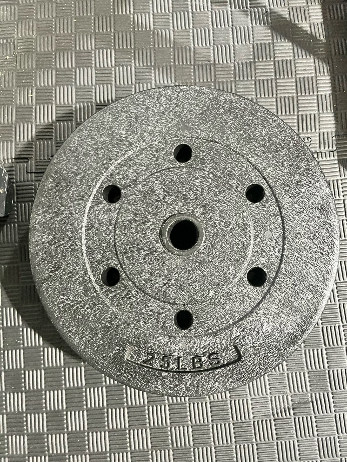 25 lb Barbell Weights