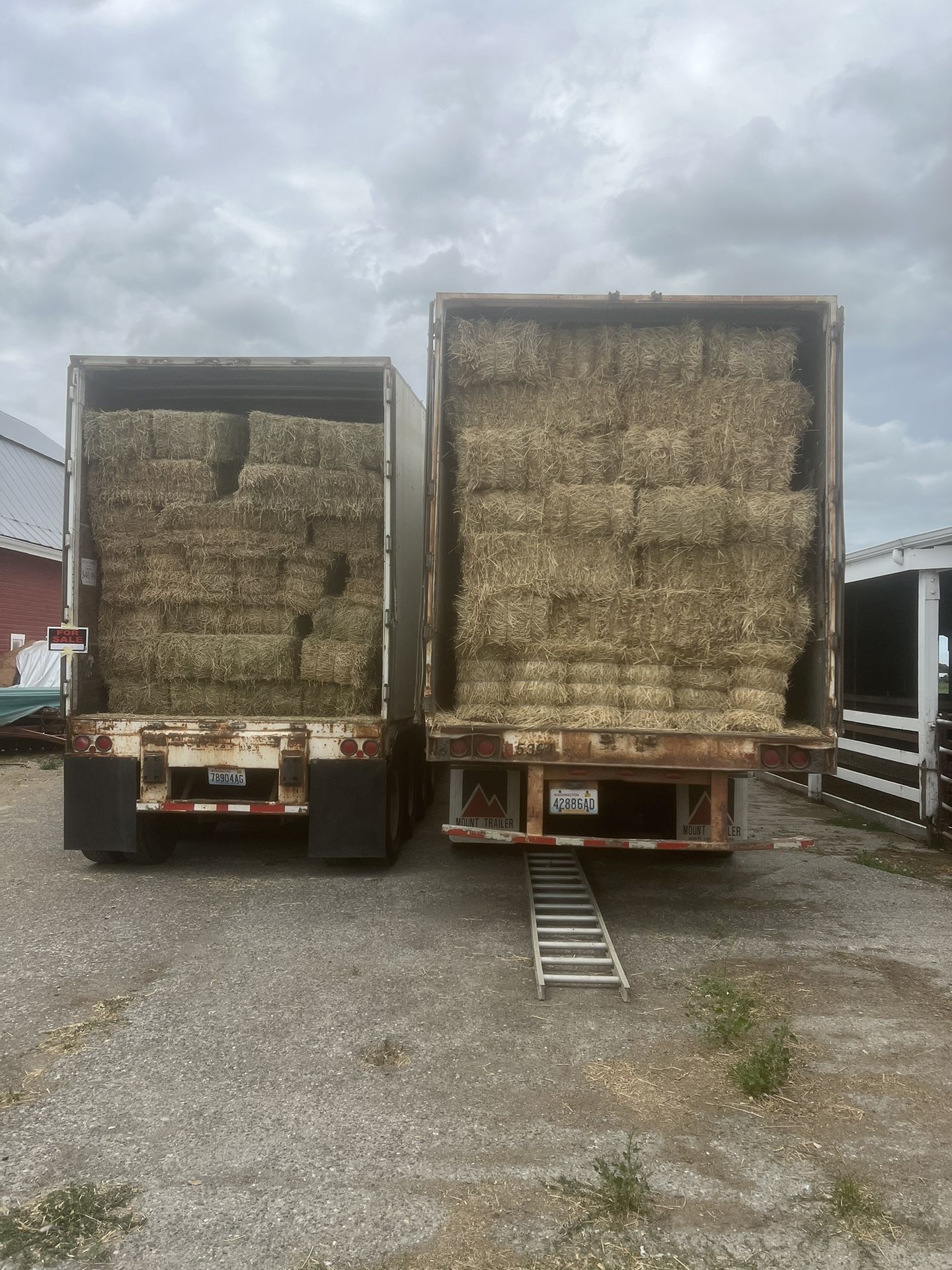Hay
