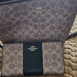 Purse And Wallet 