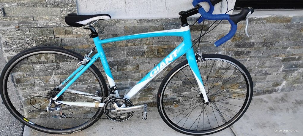 Giant Carbon / Allux Competition Road Bike