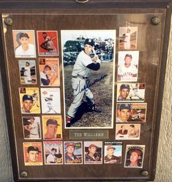 Ted Williams