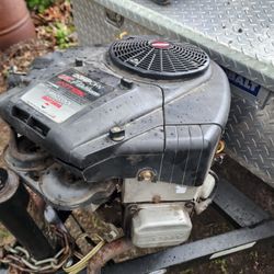 Mower Motor