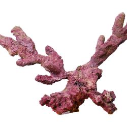 Custom CaribSea LifeRock Aquascape – 16 lbs