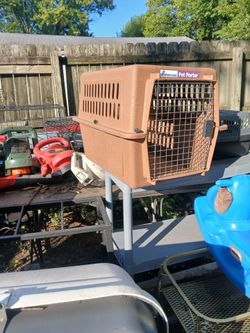 Pet taxi for a medium size dog or cat like New