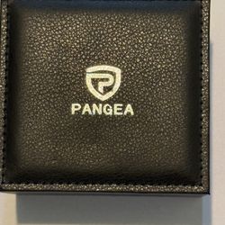 Pangea Watch