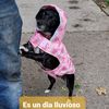 Lupita