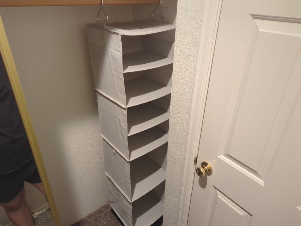 Closet Hanging Organizer (2) 