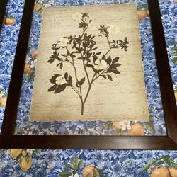 (2) Framed Pictures. Almost Identical. Priced To Sell. 