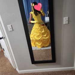 Belle Beauty and The Beast Disney Princess Costume Halloween