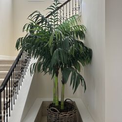 7 Feet Tall Palm Tree Artificial 