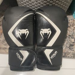 Venum Boxing Gloves 8oz