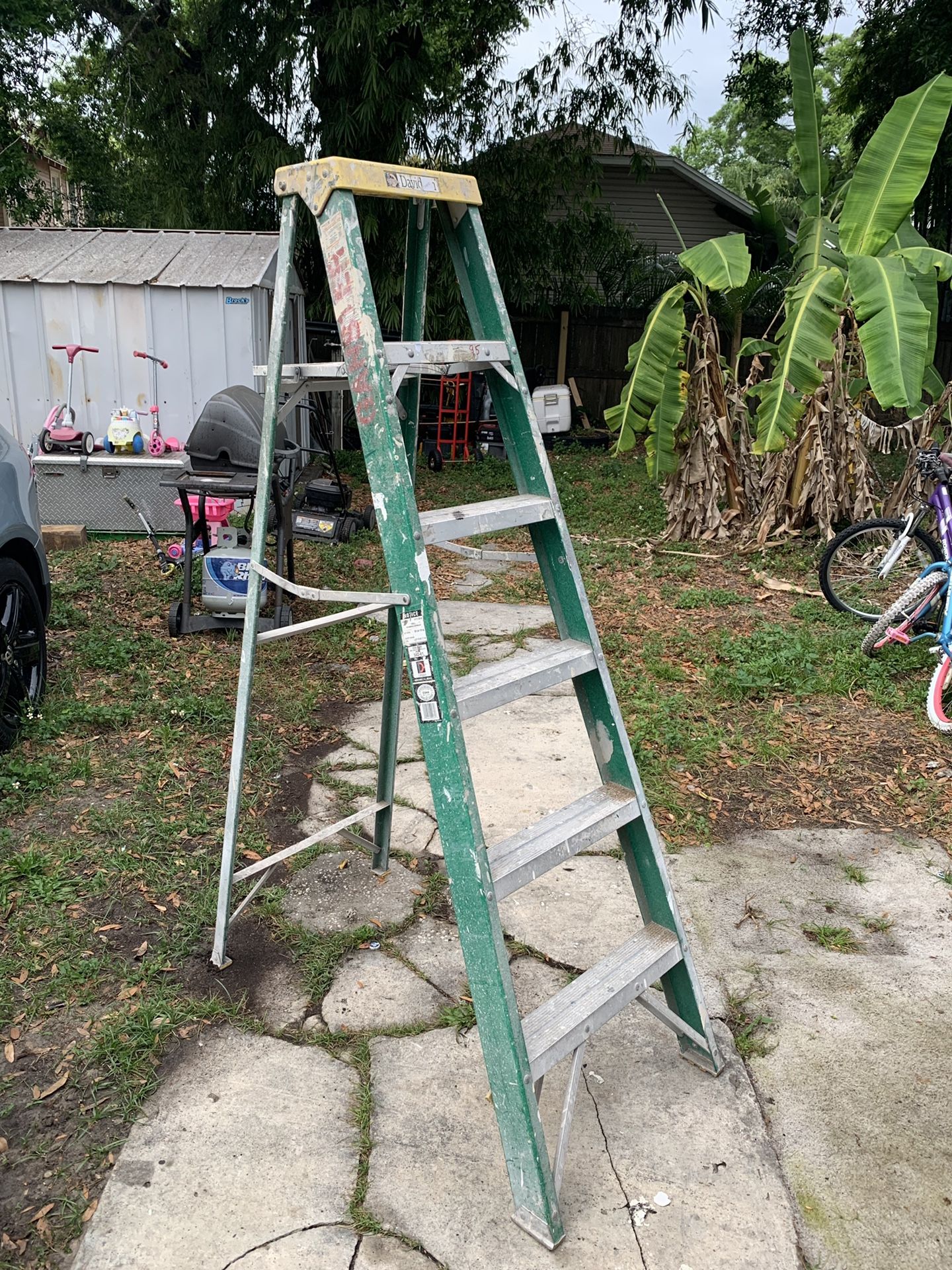 David 6ft step ladder