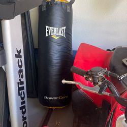 Everlast PowerCore Nevatear Heavy Bag