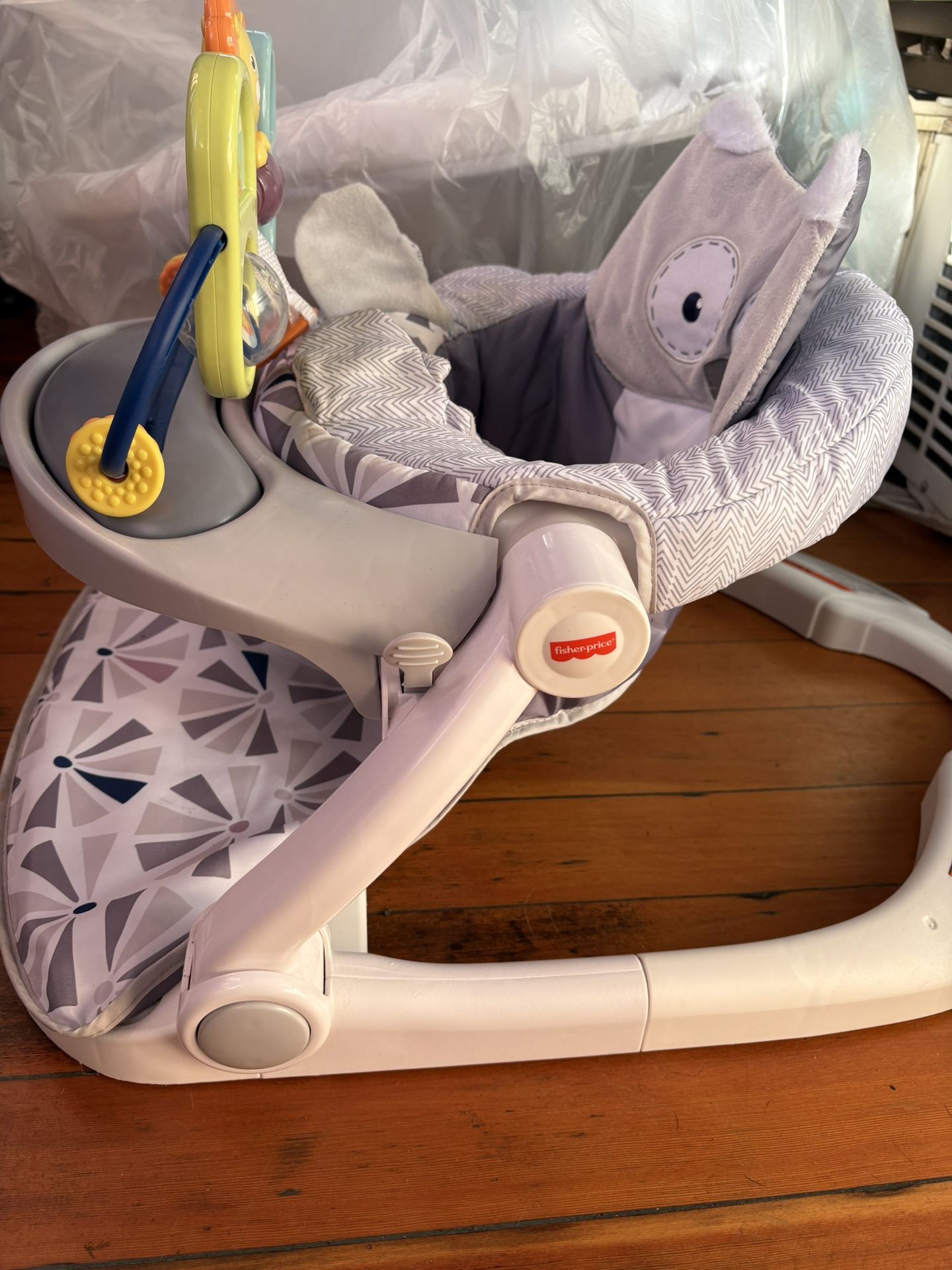 Baby Walker