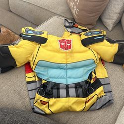 Bumble Bee Costume