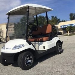 WHITE 2 PASSENGER ADVANCED EV GOLF CART FAST LUXURY 24 MPH CAR