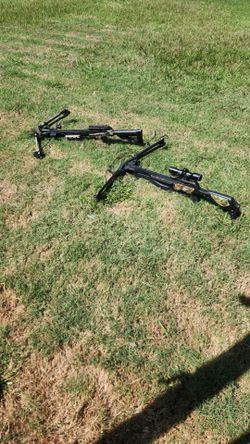 2 crossbows